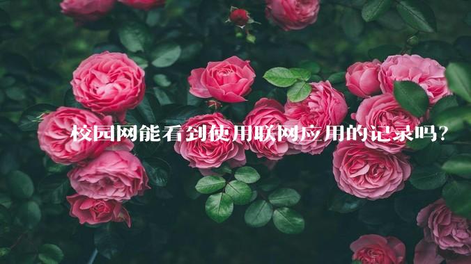 校园网能看到使用联网应用的记录吗？